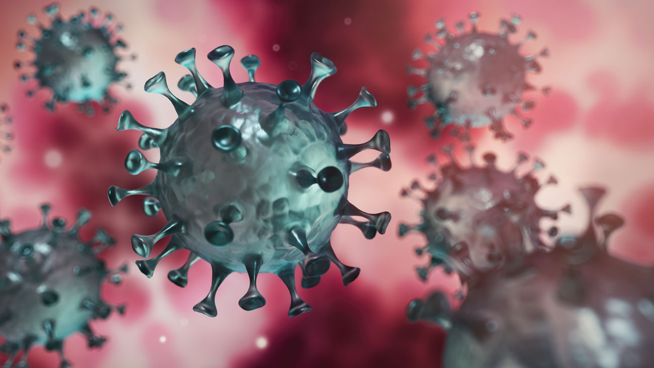 An image of the Coronavirus