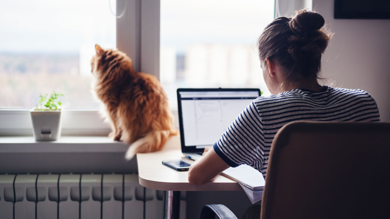 A woman works from home with her cat